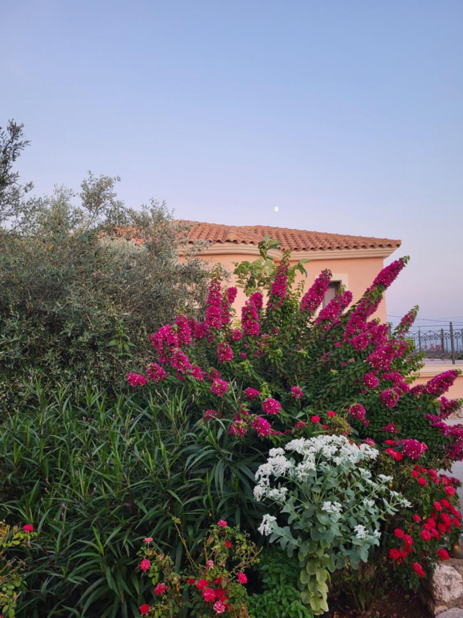 Korallis Villas Karavádhos Exteriér fotografie