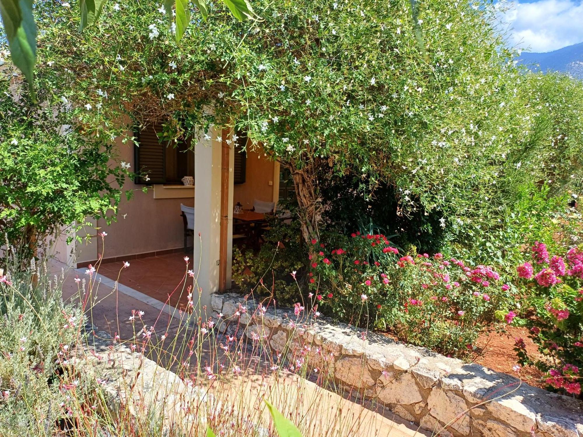 Korallis Villas Karavádhos Exteriér fotografie
