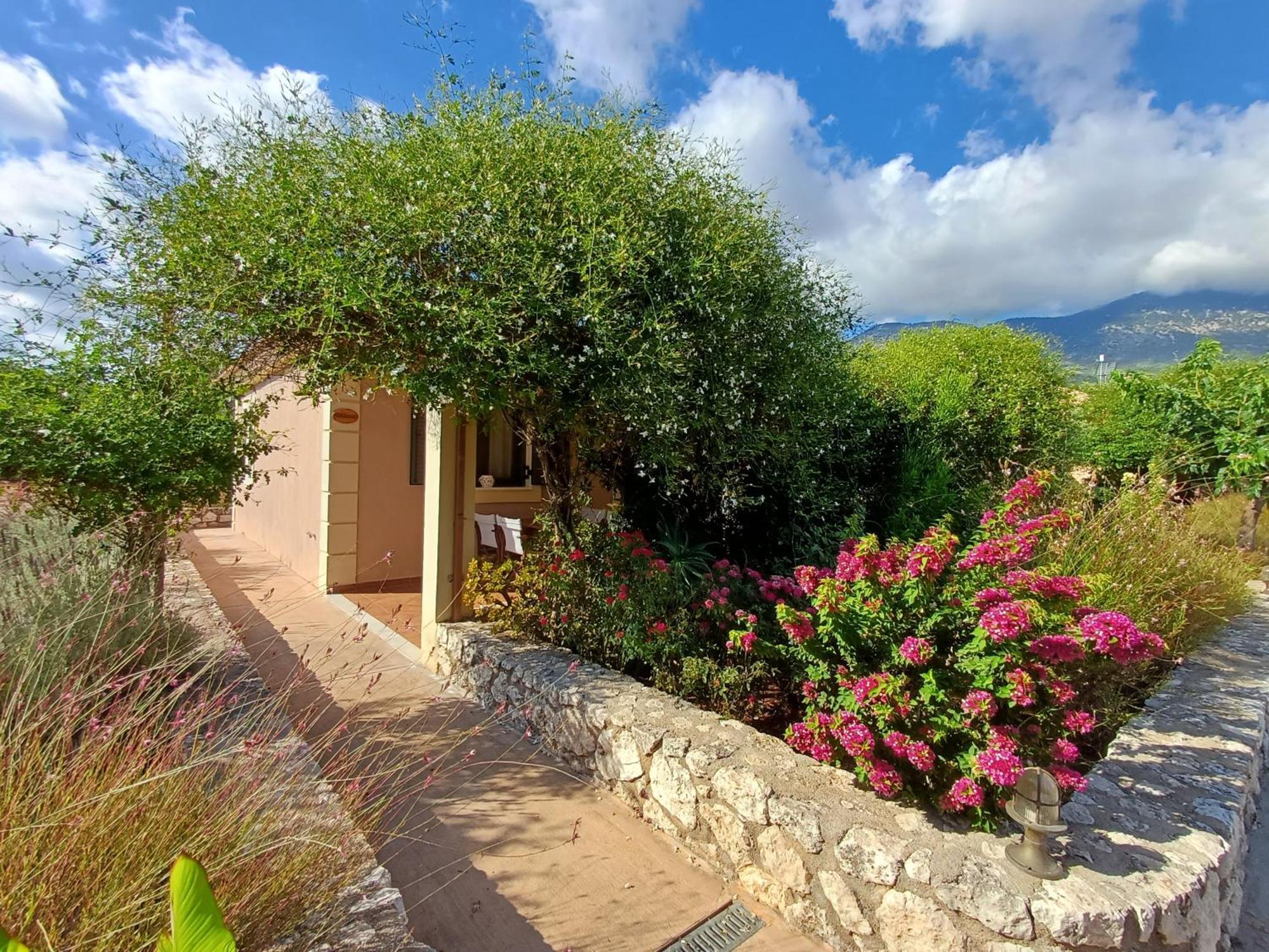 Korallis Villas Karavádhos Exteriér fotografie