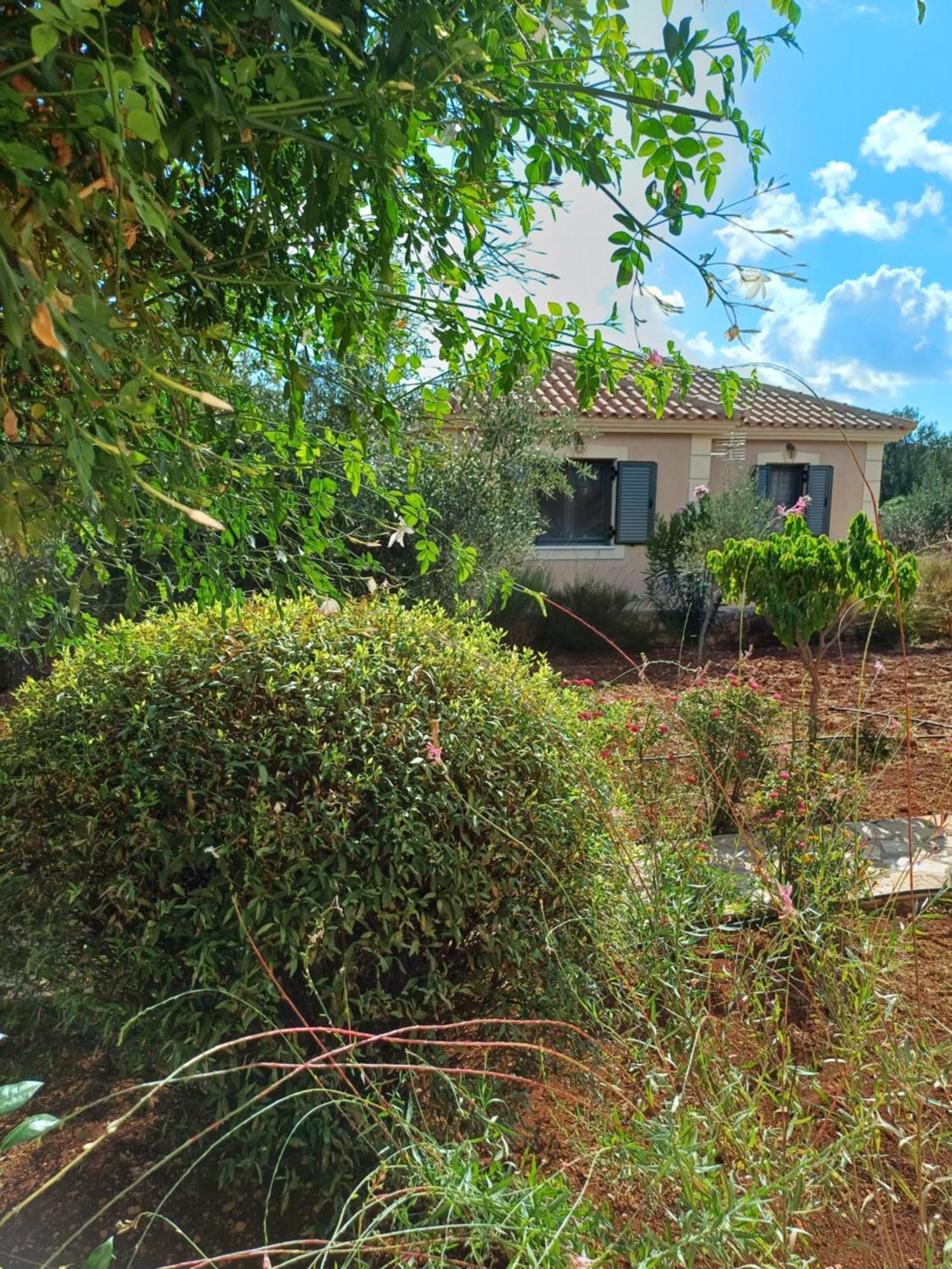 Korallis Villas Karavádhos Pokoj fotografie