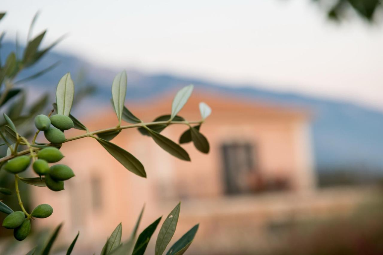 Korallis Villas Karavádhos Exteriér fotografie